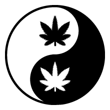 fair weed 420 svg file Weed Svg Bundle | Marijuana SVG | Cannabis Svg | Weed Leaf Svg Bundle | Cut File | Digital Download.